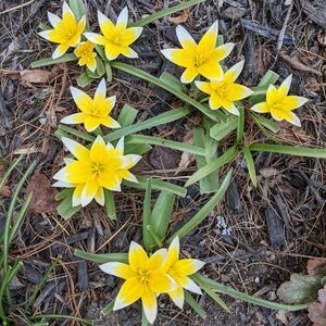 Meet your Posher, Luanne